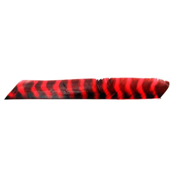 Trueflight Feathers Full Length RW Barred Red