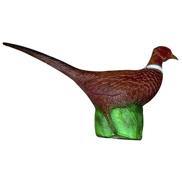 Eleven Target 3D Pheasant