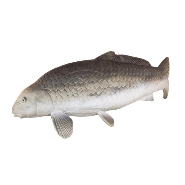 Eleven Target 3D Carp - Image 2