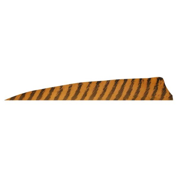 Gateway Feather 4" Shield RW Barred Orange - Image 6