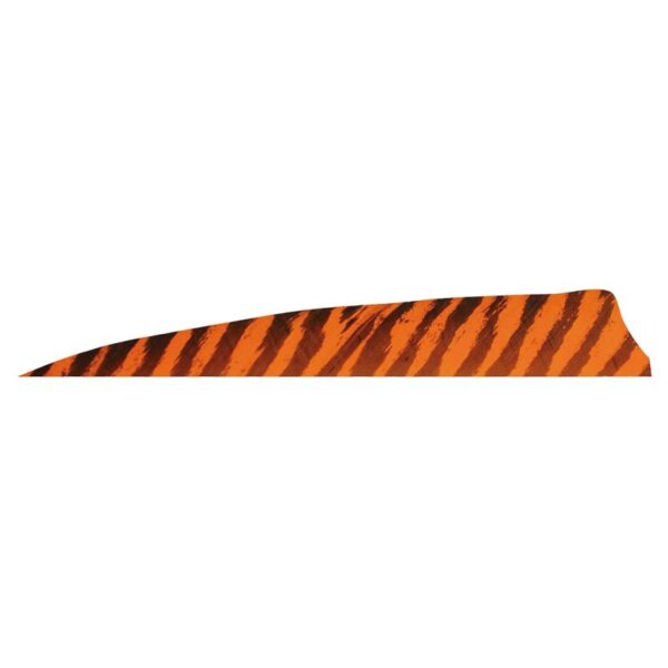 Gateway Feather 4" Shield RW Barred Orange - Image 5