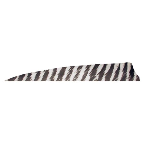 Gateway Feather 4" Shield RW Barred Brown