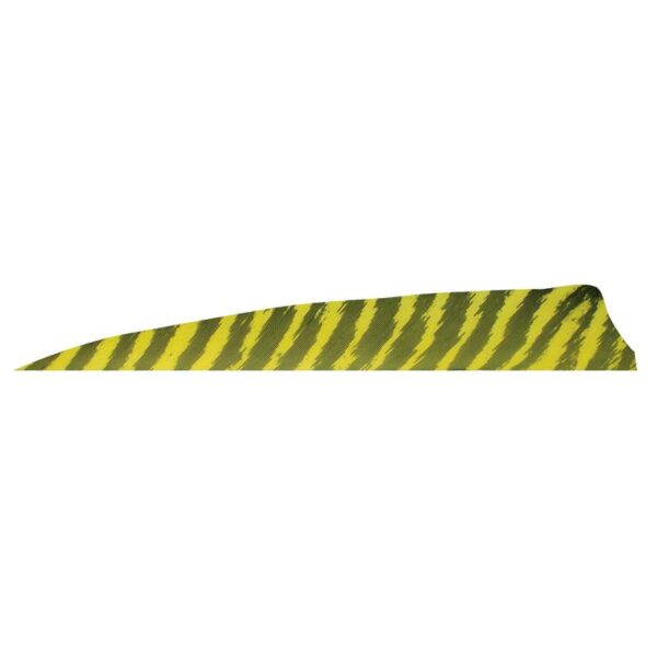 Gateway Feather 4" Shield RW Barred Orange - Image 3