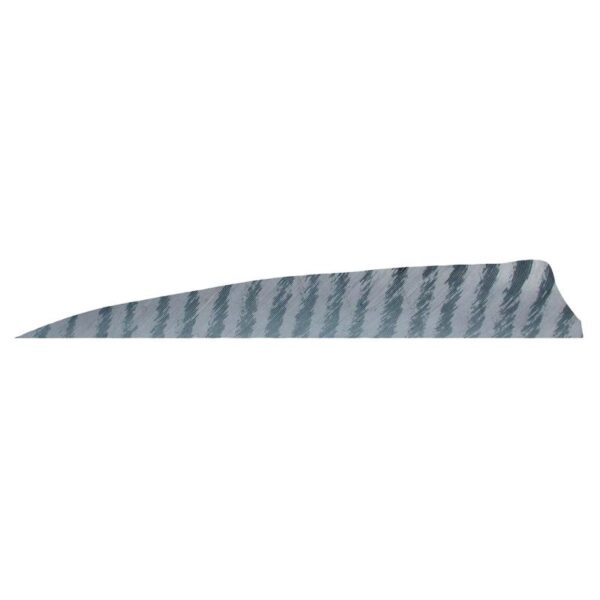 Gateway Feather 4" Shield RW Barred Orange - Image 4