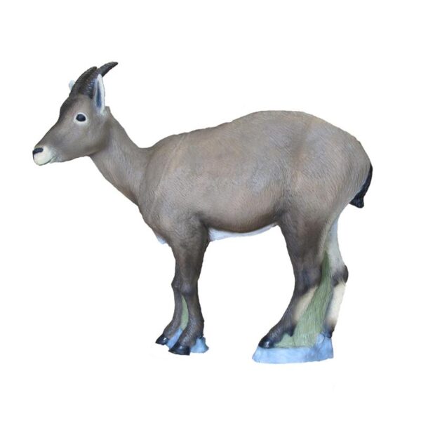 SRT Target 3D Ibex Female