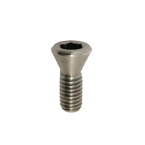 Gillo Limb Bolt Locking Screw Stainless Steel 17 mm - Image 2