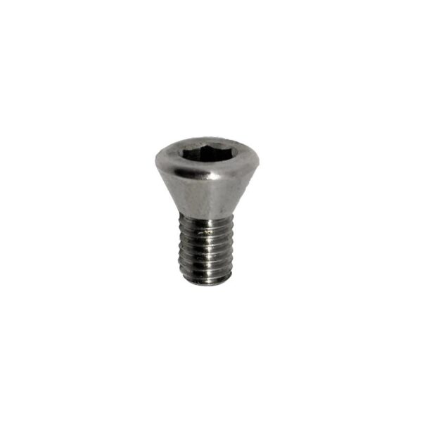 Gillo Limb Bolt Locking Screw Stainless Steel 17 mm